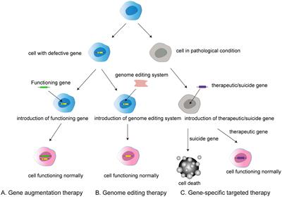 Use of gene therapy for optic nerve protection: Current concepts